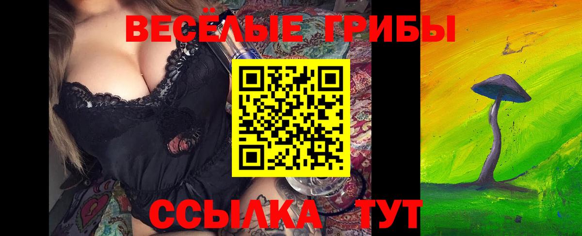 Псилоцибиновые грибы мицелий  Вход с VPN  Северск  Псилоцибиновые грибы MAGIC MUSHROOMS 
