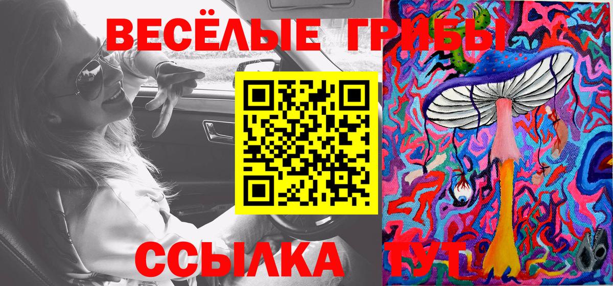 Псилоцибиновые грибы Magic Shrooms Северск